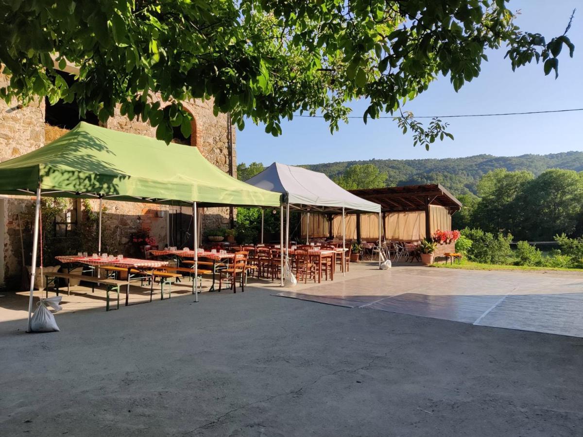 Agriturismo Munarin Caterina Mioglia ภายนอก รูปภาพ